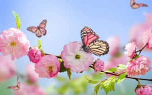 গোলাপি ফুলের উপর প্রজাপতি