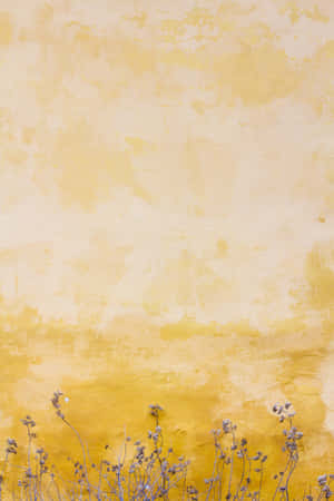 সৌন্দর্যময় হলুদ