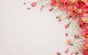 1280x800 — 1280x800 ওয়ালপেপার