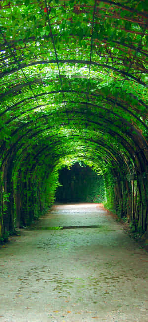 1242x2688 — গ্যালাক্সি এস২৬ আল্ট্রা ওয়ালপেপার