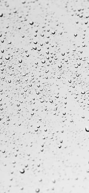 1290x2796 — আইফোন এক্স ওয়ালপেপার