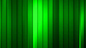নিয়ন সবুজ ব্যাকগ্রাউন্ড — নিয়ন সবুজ ওয়ালপেপার
