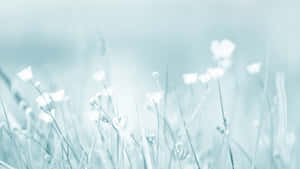 5120x2880 — 5120x2880 ওয়ালপেপার
