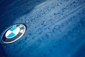 BMW লোগোর ক্লোজ-আপ ওয়ালপেপার নীল গাড়িতে ফোঁটা সহ