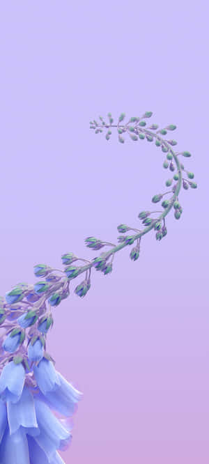 মোশন — 1080x2400 ওয়ালপেপার