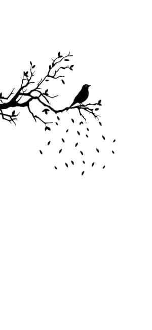 সাদা ফোন — জিয়াওমি ১৫এস প্রো ওয়ালপেপার
