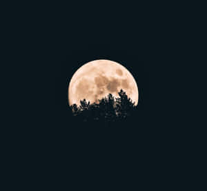 পূর্ণিমার চাঁদের ছবি