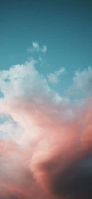 ১১৭০x২৫৩২