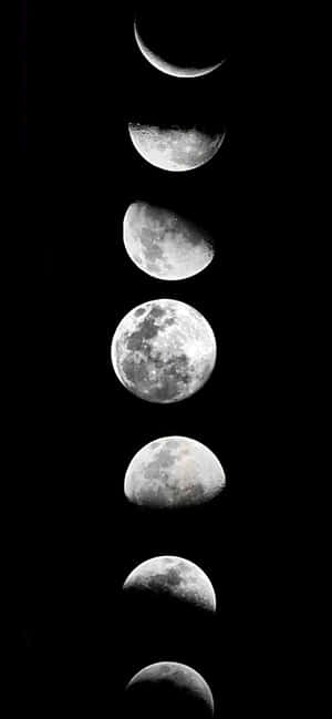 1284x2778 — আইফোন ১৬ই ওয়ালপেপার