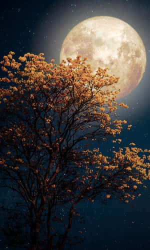 1200x2000 — গ্যালাক্সি ট্যাব A11 ওয়ালপেপার
