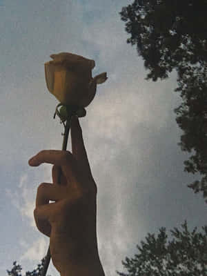 ভিন্টেজ গ্রঞ্জ নান্দনিকতা