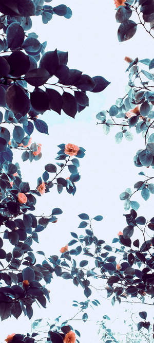 ভিভো ভি২০ কমলা ফুলের গাছ — 1080x2400 ওয়ালপেপার