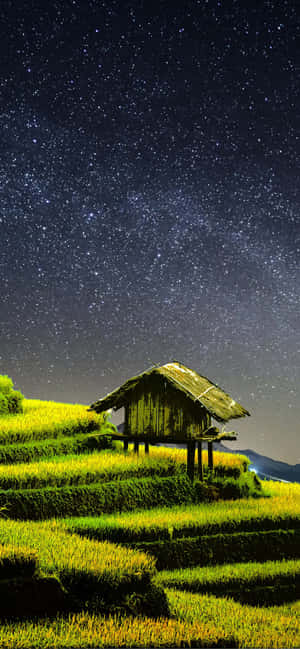 কৃষি — আইফোন ১৮ ওয়ালপেপার