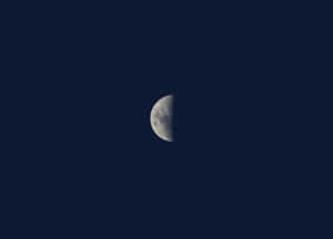 চিত্রের ব্যাকগ্রাউন্ড