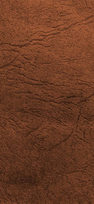 828x1792 — গ্যালাক্সি A56 ওয়ালপেপার