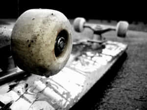 স্কেটার বয় নান্দনিক ছবি