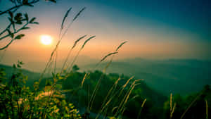 5120x2880 — 5120x2880 ওয়ালপেপার