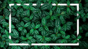 5120x2880 — 5120x2880 ওয়ালপেপার