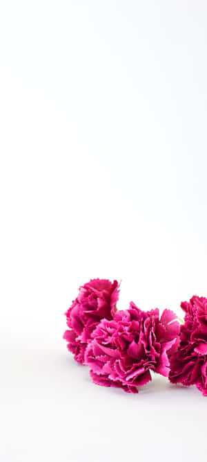 1080x2400 — মোটো G67 ওয়ালপেপার