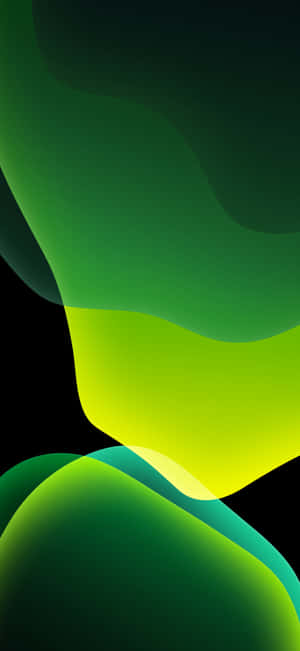 গাঢ় সবুজ আইফোন — 1320x2868 ওয়ালপেপার