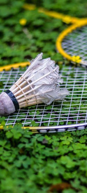 Pixel 3 Badminton Background — Honor Magic V5 ওয়ালপেপার