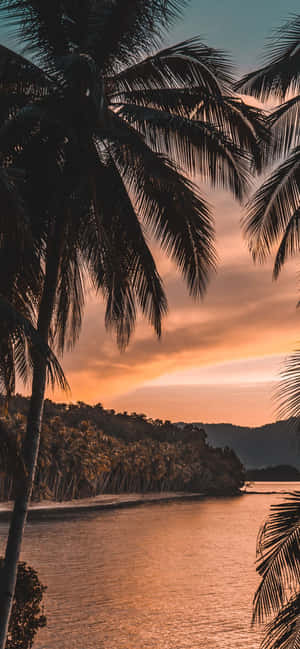 1170x2532 — 1170x2532 ওয়ালপেপার