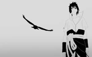 সাসুকে ব্যাকগ্রাউন্ড — সাসুকে ওয়ালপেপার