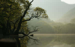 1280x800 — 1280x800 ওয়ালপেপার