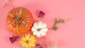 সুন্দর থ্যাঙ্কসগিভিং ব্যাকগ্রাউন্ড