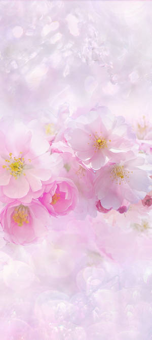 সুন্দর বসন্ত — 1080x2400 ওয়ালপেপার