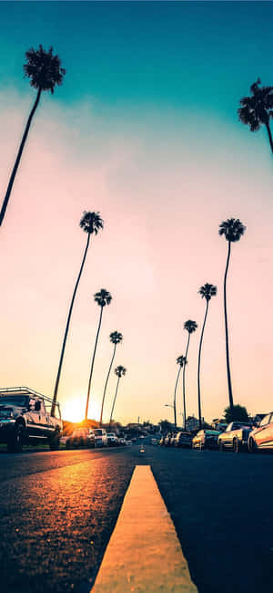 California Summer — জিয়াওমি ১৮ প্রো ওয়ালপেপার