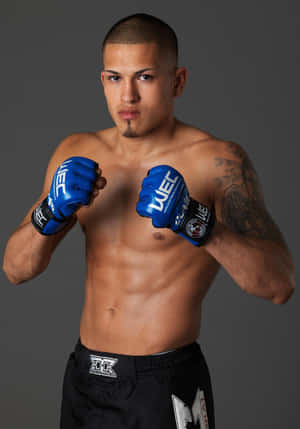 হট ল্যাটিনো ইউএফসি ফাইটার অ্যান্থনি পেটিস — ভিভো প্যাড5 ওয়ালপেপার