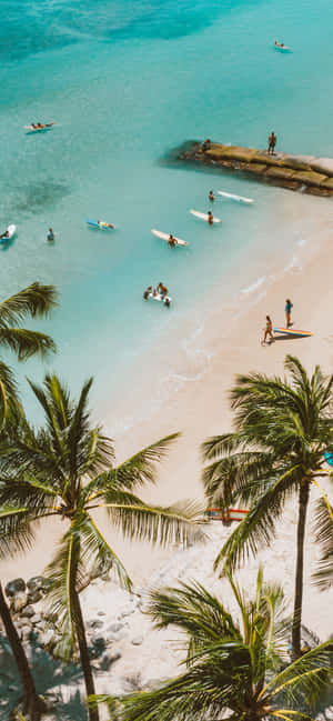 1284x2778 — এইচএমডি ওয়ালপেপার